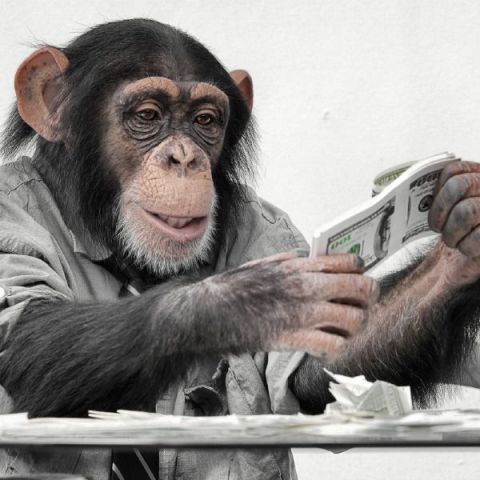 scimmia-soldi.jpg